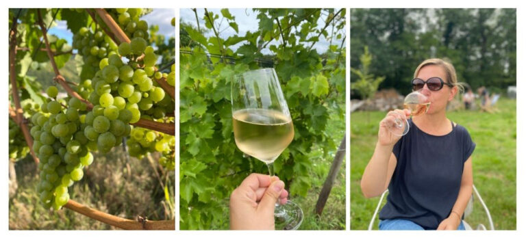 Alkoholfreie Weine Titel