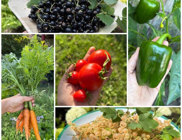 Gartenglück in Nippes