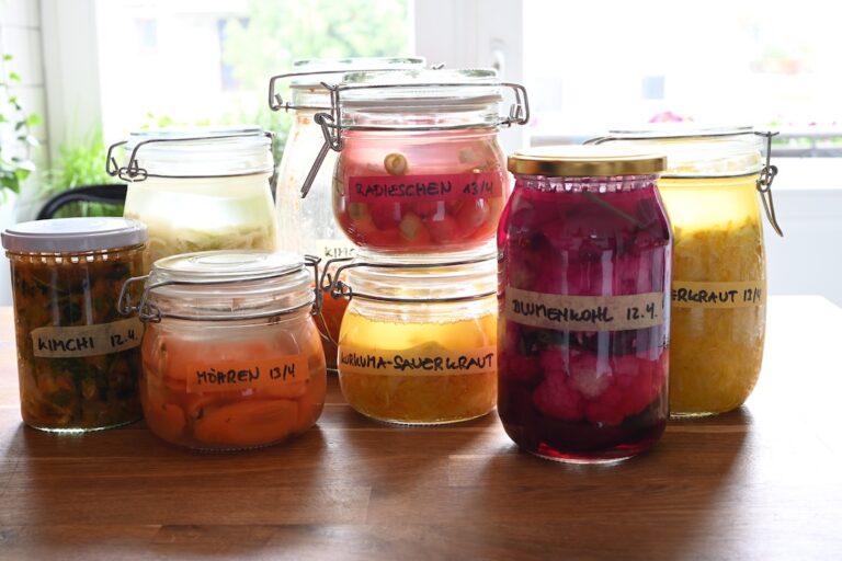 Fermentieren für Einsteiger