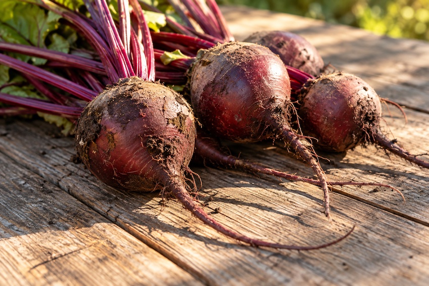 Rote Bete Rezepte